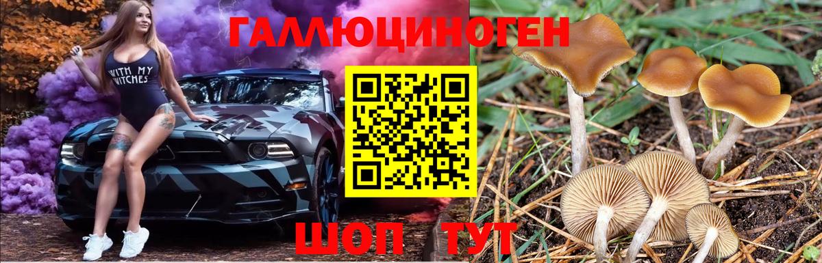 Канск  Галлюциногенные грибы Psilocybe  как найти закладки  Вход с VPN 