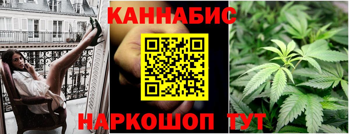 Канабис семена Канск